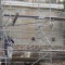 10 HABILLAGE MUR MOELLON